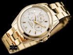 BISSET BSBE17 - white/gold (zb549a)