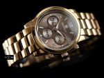 PERFECT - CORX 2013 - brown (zp685d)